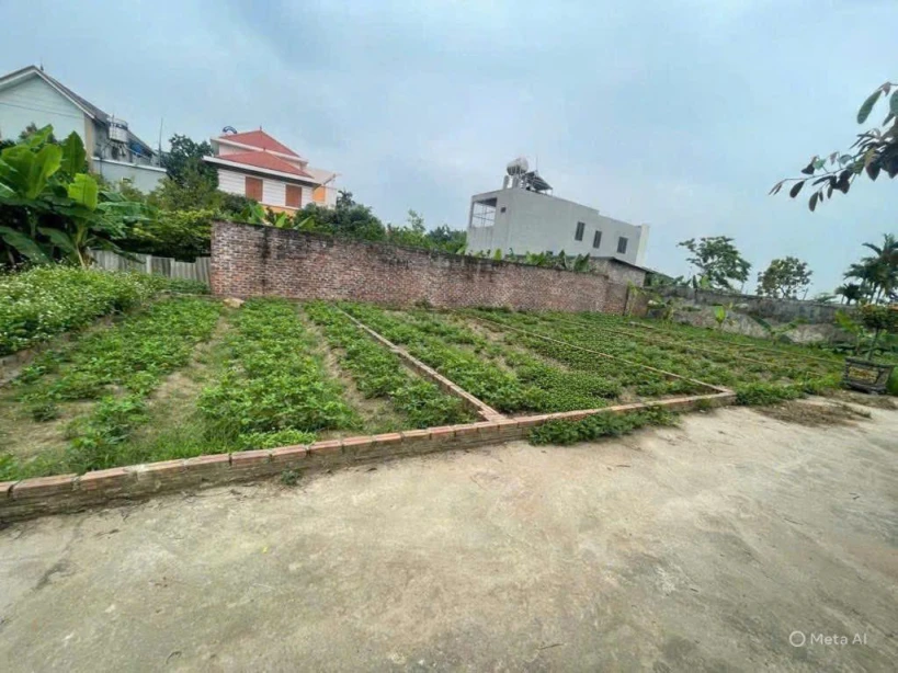 Bán đất gấp