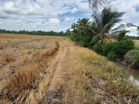 🌾 Cần bán 9 công ruộng đất mặt tiền kinh lớn, gần huyện lộ 1km 🌾