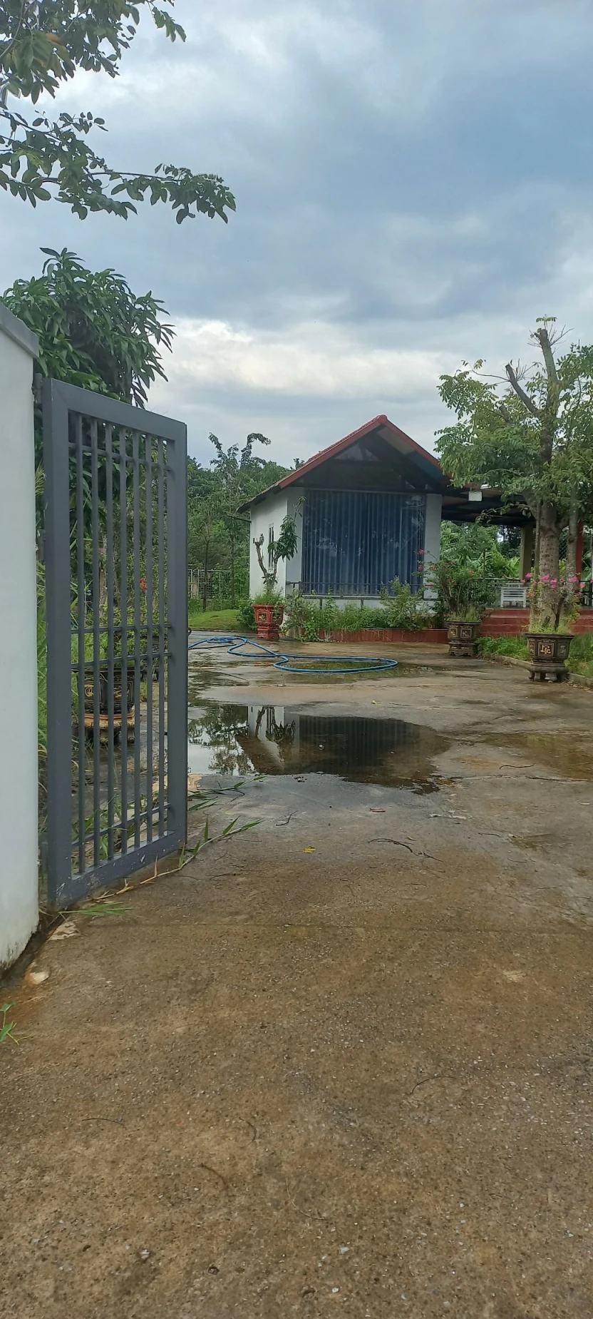 CẦN BÁN NHÀ VƯỜN HÀM MỸ VÊU SÔNG CÀ