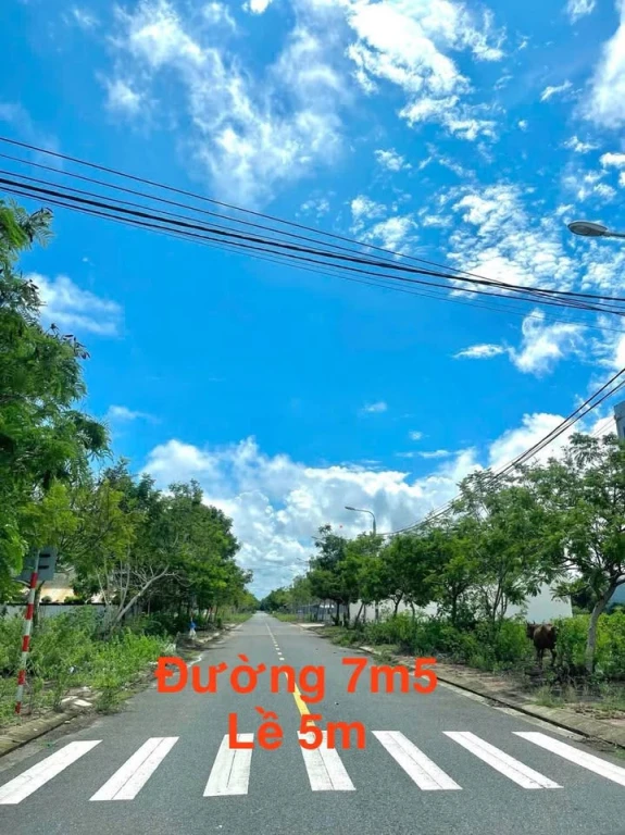 Bán gấp lô 123m2 ngay cạnh ĐH FPT,