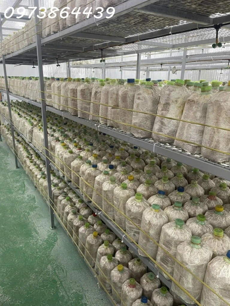 BÁN ĐẤ-  TẶNG XƯỞNG NẤM - PIN NĂNG LƯỢNG MẶT TRỜI MẶT TIỀN KINH DOANH - TẠI CỦ CHI - NGANG 18M - 2300M2 - GIÁ 12 TỶ TL