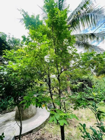 bán nhà đất
