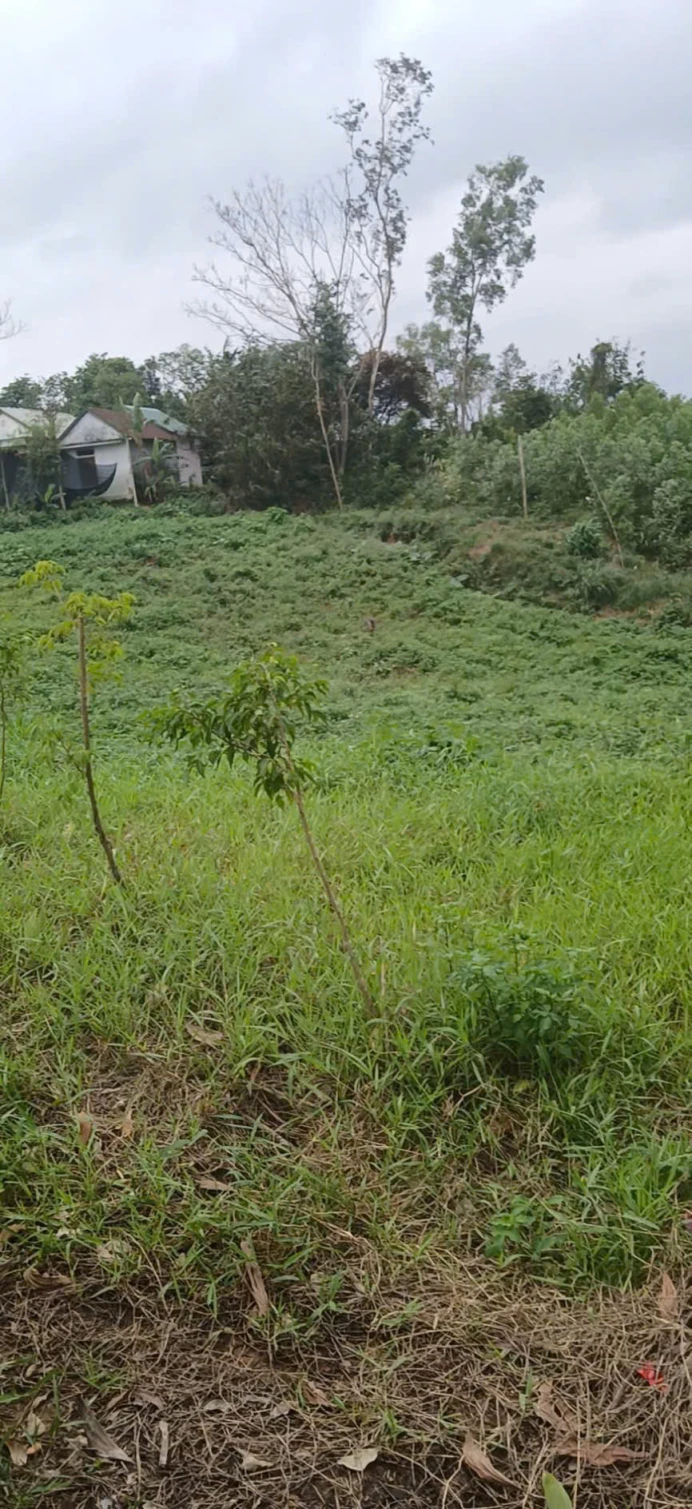 BÁN ĐẤT MẶT TIỀN ĐƯỜNG DẠ LÊ – 93,3m² – GIÁ CHỈ 730 TRIỆU – ĐƯỜNG QUY HOẠCH 30M