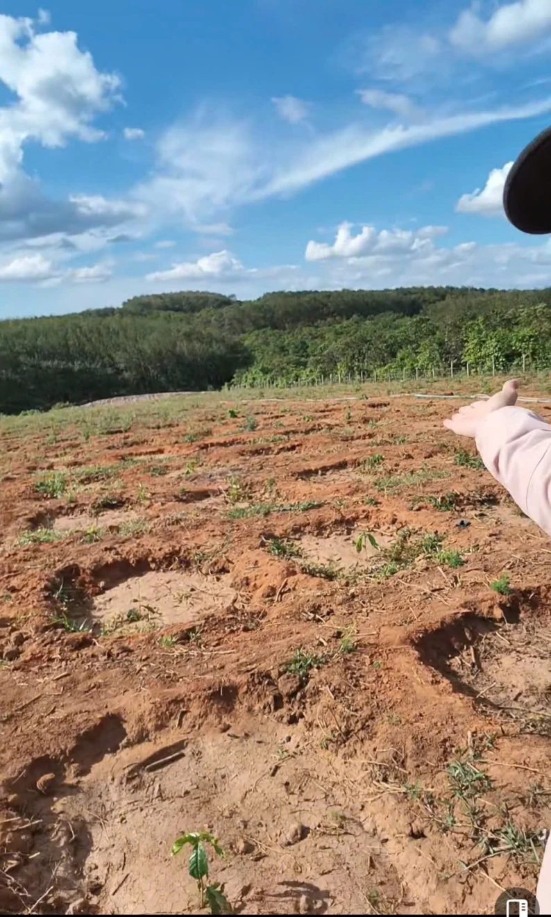 BÁN ĐẤT – BAO BÌA, GIÁ TỐT - XÃ IA DOM - TỈNH GIA LAI