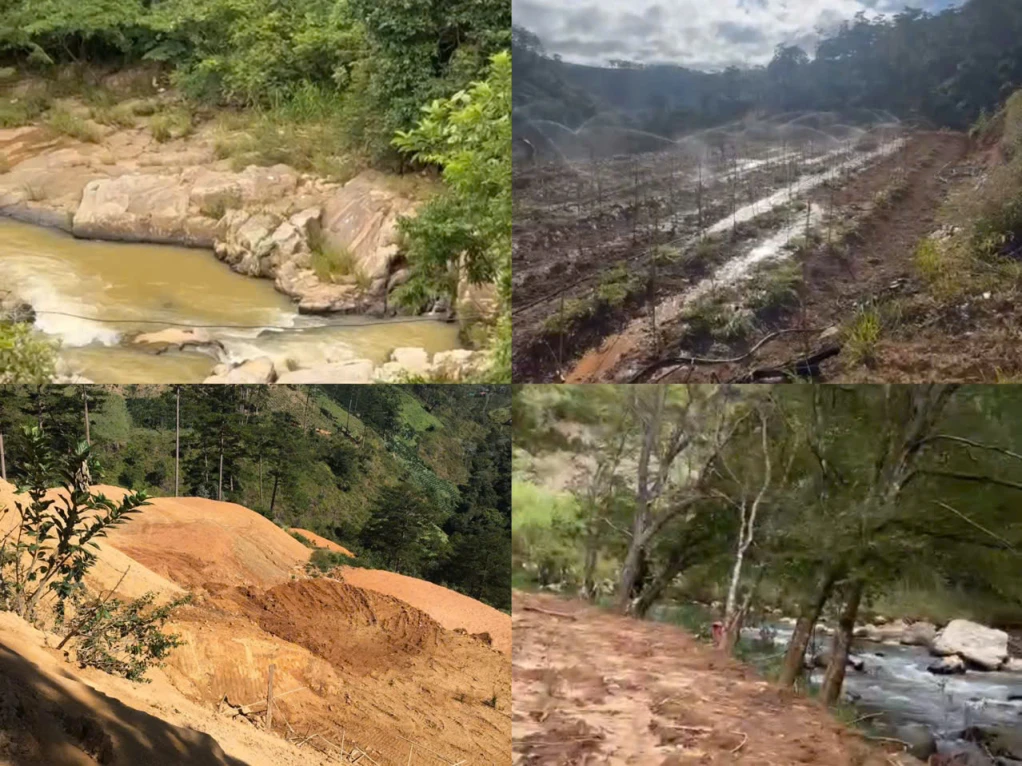 BÁN 8HA ĐẤT BÃI RUỘNG 2  – XÃ ĐẠ SAR , HUYỆN LẠC DƯƠNG, TỈNH LÂM ĐỒNG