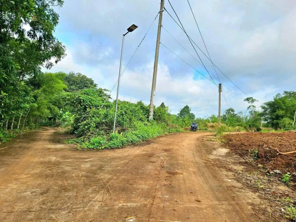 GẤP- SIÊU RẺ – BÁN LÔ ĐẤT SÀO GIÁ CHỈ 290 TRIỆU- HỚN QUẢN - BÌNH PHƯỚC