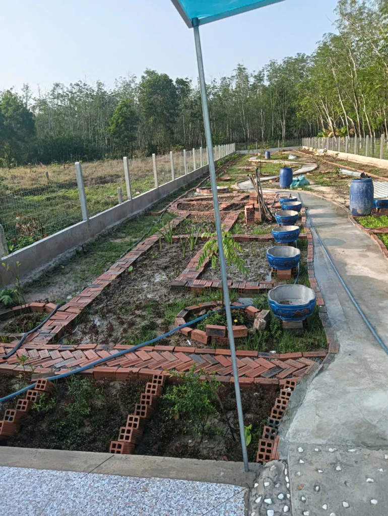 Bán gấp đất nghỉ dưỡng full tiện ích – gần Trường THCS Định An, Dầu Tiếng, Bình Dương