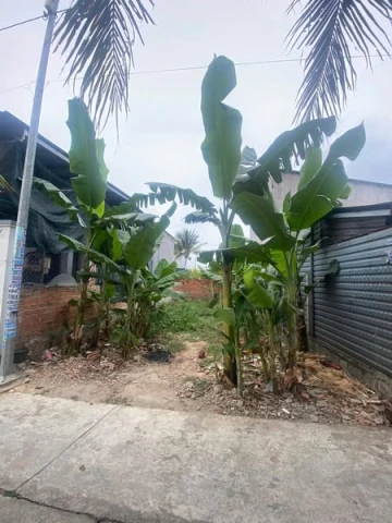 Em bán lô đất Diên Lạc