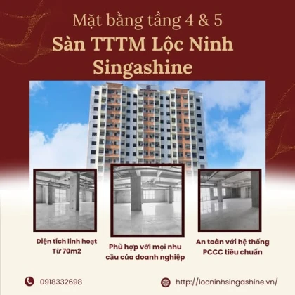 Đầu Tư Sàn Văn Phòng Lộc Ninh Singashine Giữ Tài Sản Bền Vững