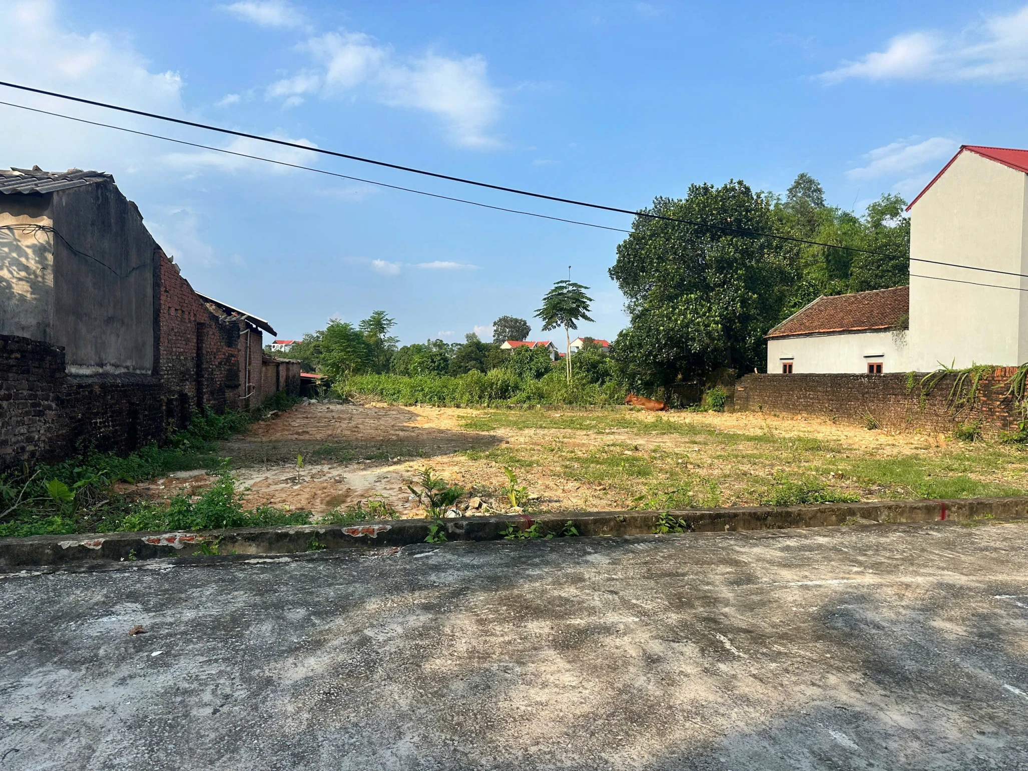 CẦN BÁN ĐẤT THỔ CƯ – THÔN HÀNG CƠM, VIỆT LẬP, TÂN YÊN, BẮC GIANG