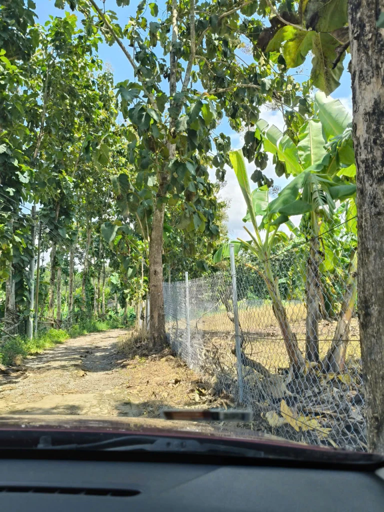 Chính chủ bán 2 lô đất gần nhau Xã Ngọc Định - Định Quán , suối bao quanh hàng hiếm tại Đồng Nai giá tốt