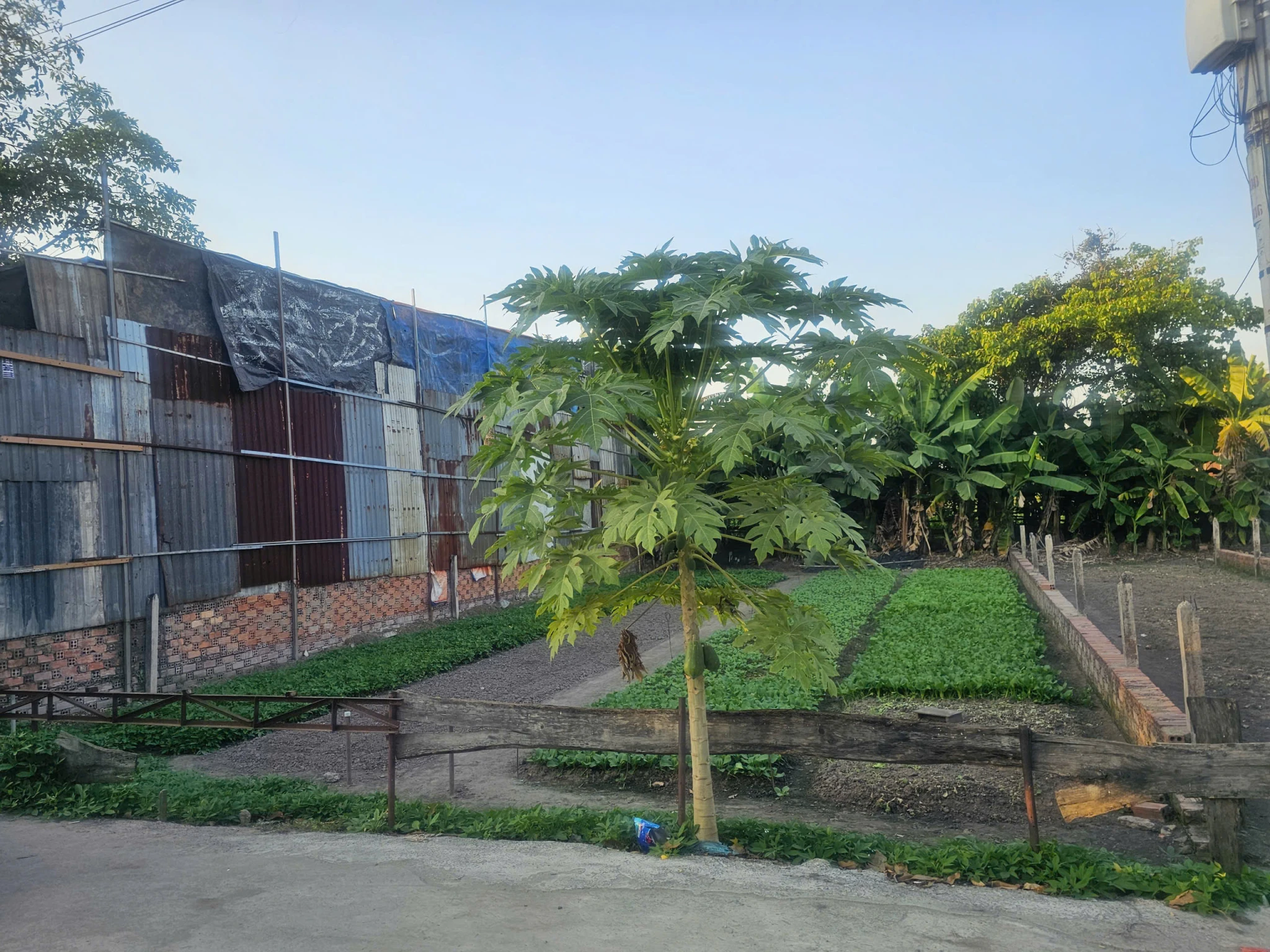 BÁN NHANH LÔ ĐẤT ĐẸP HẺM XE HƠI – GIÁ TỐT TẠI BÌNH CHÁNH.