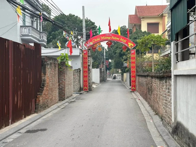 🏡 BÁN ĐẤT MỸ NỘI – BẮC HỒNG – ĐÔNG ANH – GIÁ CHỈ 6X TRIỆU/M²! 🔥