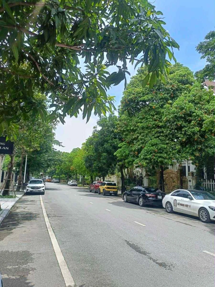 SIÊU BIỆT THỰ LÀNG VIỆT KIỀU CHÂU ÂU 200m - TRỤC CHÍNH ĐẸP NHẤT - KHU CAO CẤP - NỘI THẤT GỖ QUÝ