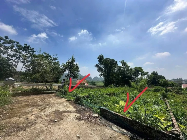 CHÍNH CHỦ GỬI BÁN – LÔ ĐẤT ĐẸP TẠI THỊ XÃ XUÂN MAI