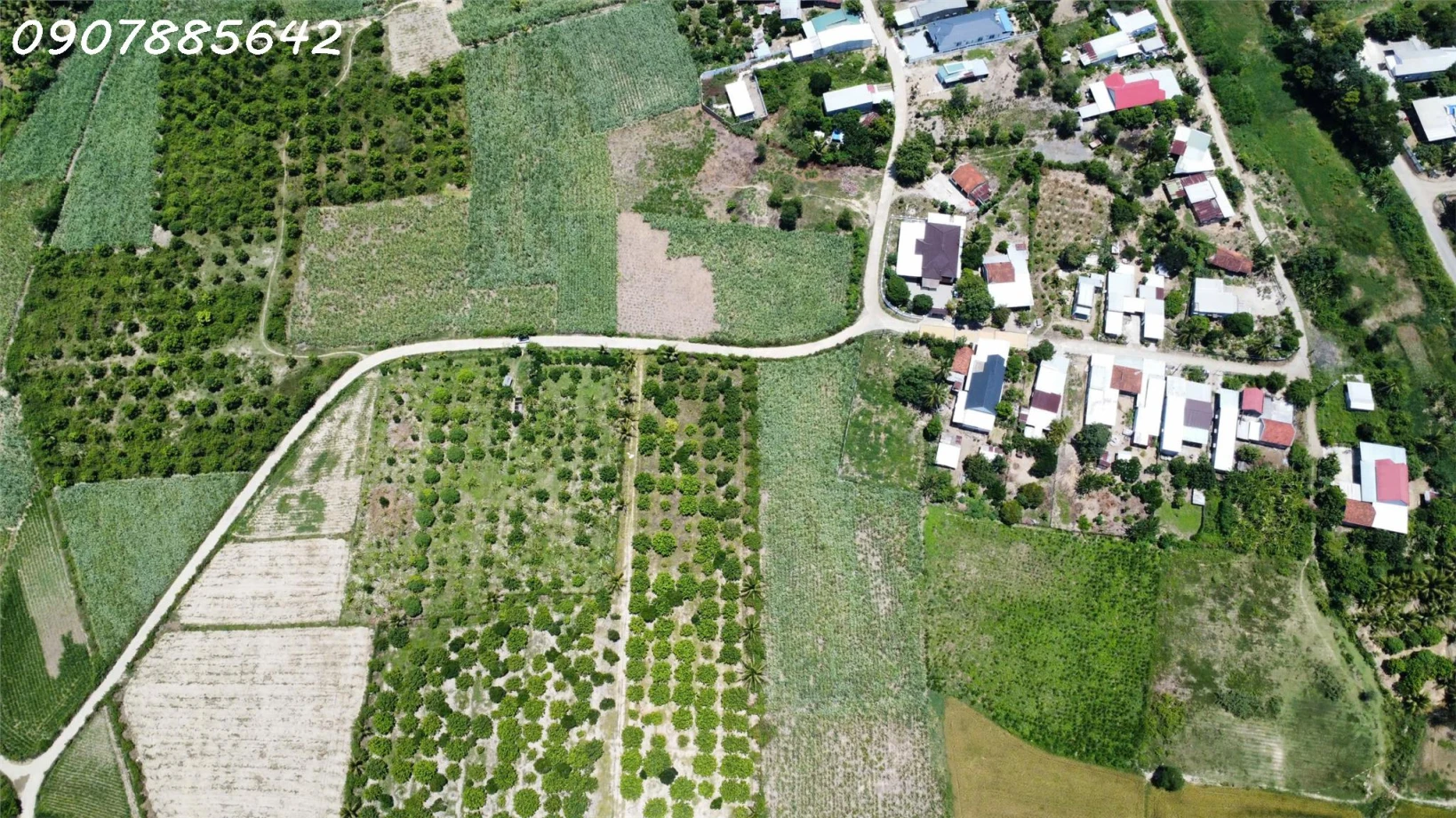 BÁN ĐẤT NÔNG NGHIỆP TẠI NHA TRANG KHÁNH HOÀ