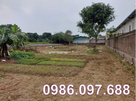 ⭐️Cho thuê 1.438m2 đất giá tốt đường rộng 6m tại xã Đông Xuân (Quốc Oai), Hà Nội, 0986.097.688