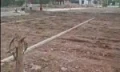 ☢️Bán lô đất vị trí đẹp tại Nga Điền (Nga Sơn), xã Nga An, Thanh Hóa (miễn tiếp MG), 0966649024