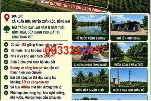 ⭐Cần bán gấp lô đất 4ha tại xã Xuân Hoà (Xuân Lộc), TP.Đồng Nai, chỉ 3.6 tỷ/ha - 0933222457