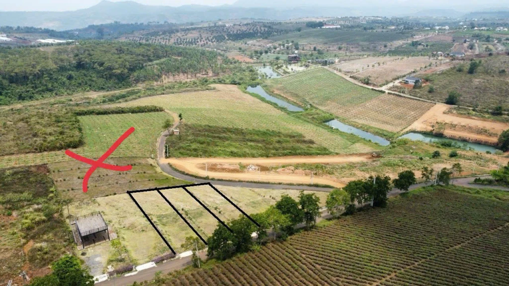 🌿 ĐẤT NGHỈ DƯỠNG GẦN ĐỒI CHÈ TÂM CHÂU – BẢO LỘC 🌿