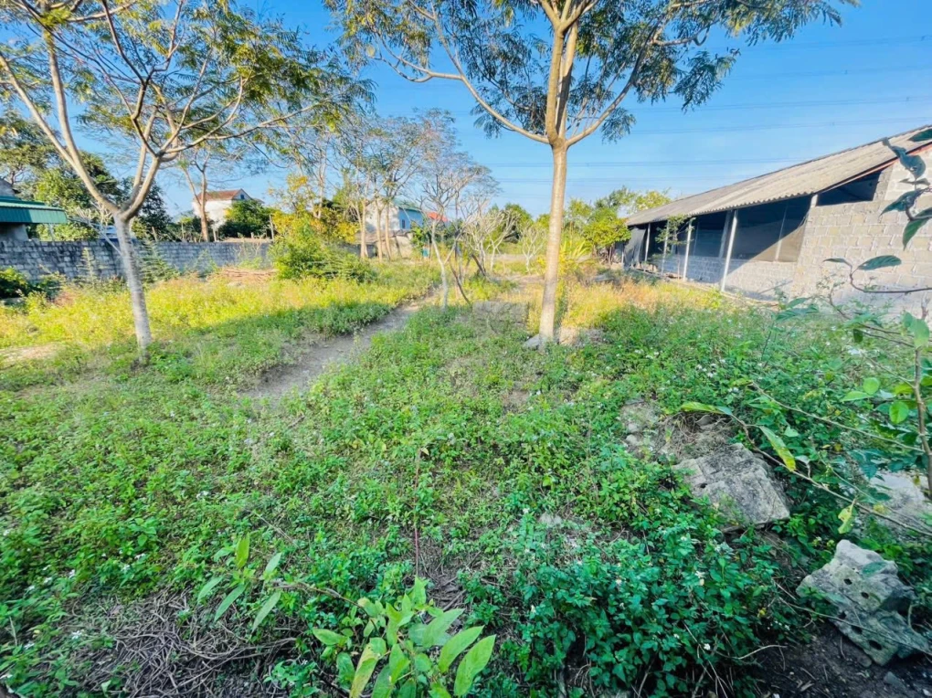 BÁN LÔ ĐẤT THỔ CƯ GIÁ TỐT – YÊN THỦY, HÒA BÌNH