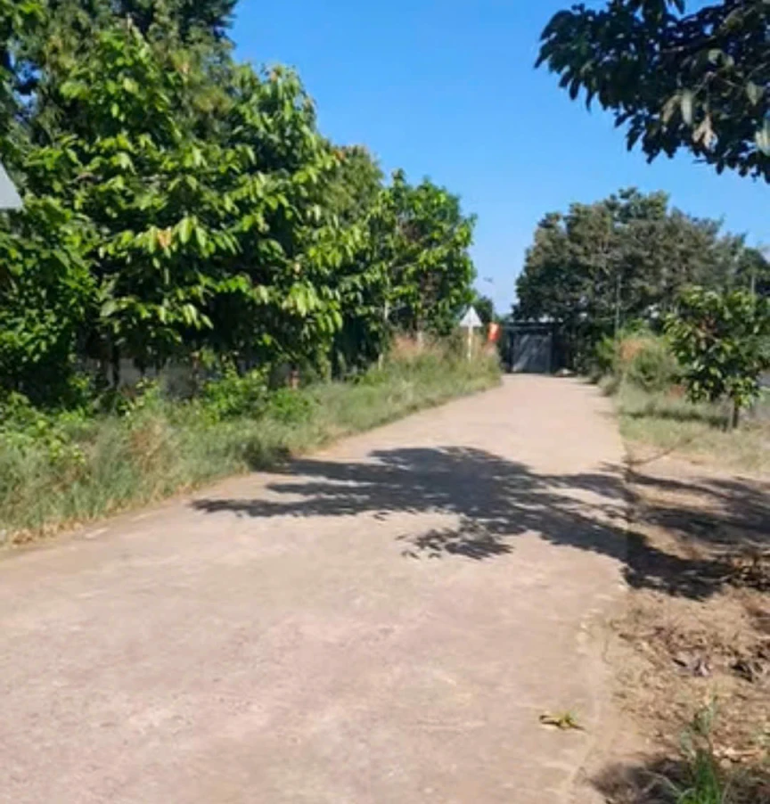 🏡💕CẦN BÁN ĐẤT VƯỜN SẦU RIÊNG ĐẸP – PHÚ HÒA, ĐỒNG NAI 