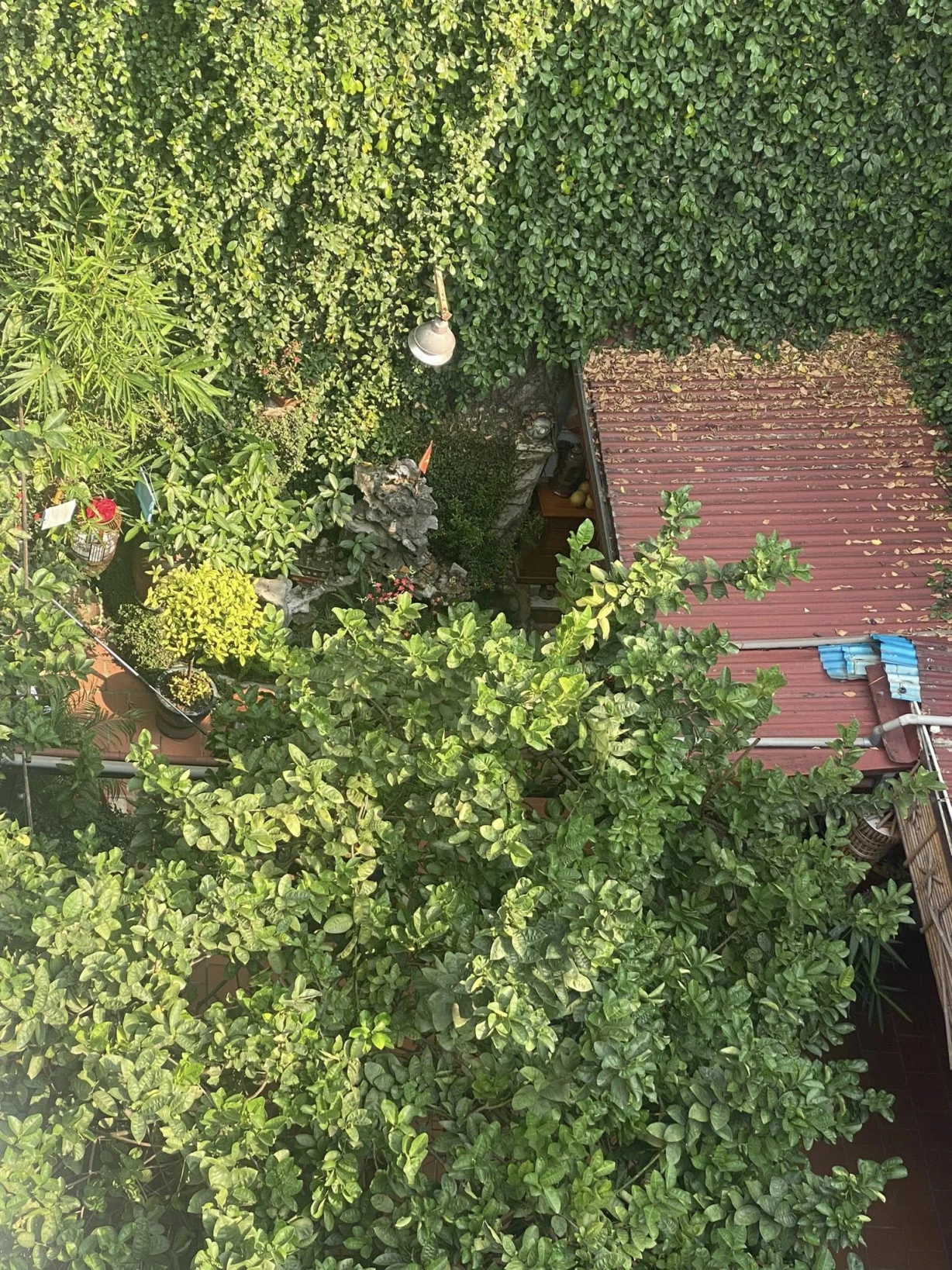 Nhà Đẹp Âu Cơ - View Sân Vườn Thoáng Mát