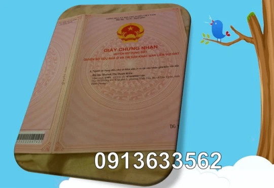 🌻Bán đất Đồng Xoài – Bình Phước, tổng diện tích 3.000m², vị trí gần trung tâm. 0913633562