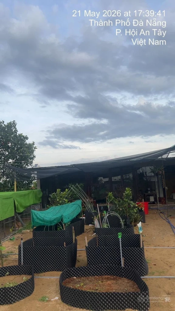BÁN ĐẤT BIỆT THỰ VƯỜN 550M² HỘI AN - GẦN NGUYỄN TẤT THÀNH - CHỈ NHỈNH 11 TRIỆU/M²