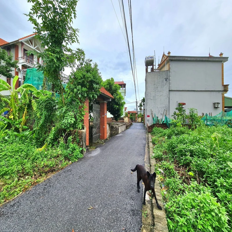 Bán đất 60m2 Thuận An, Hà Nội, mt 4m ngõ rộng gần trục chính 📞 0989894845