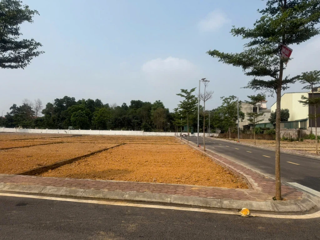 Bất ngờ với giá lô đất sát ĐHQG có thể xây kinh doanh ngay tạiHòa Lạc