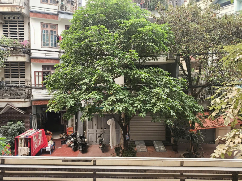 CHO THUÊ TẦNG 2 KHÉP KÍN – KĐT ĐẤT DỊCH VỤ MỖ LAO, HÀ ĐÔNG, HÀ NỘI