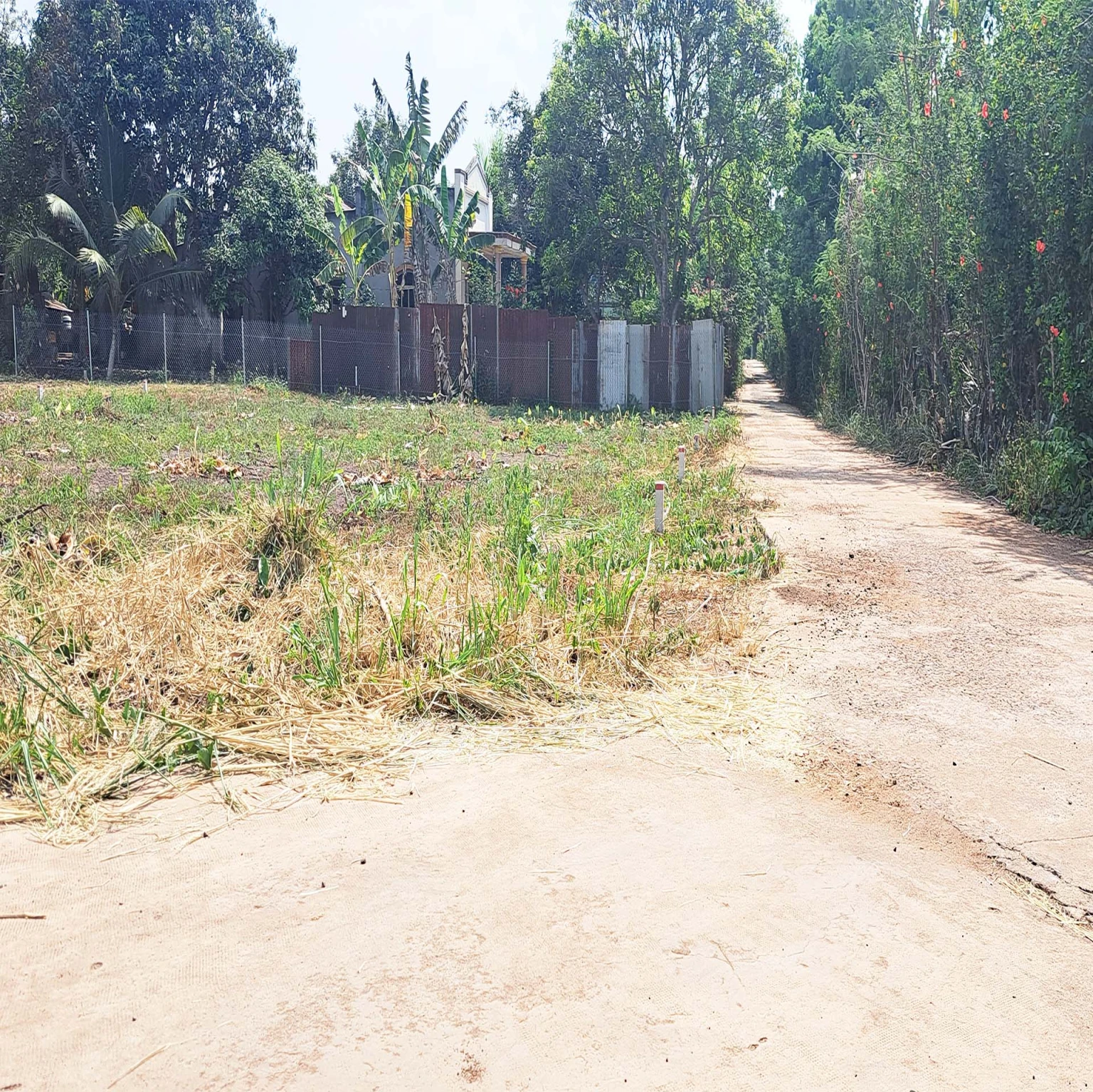 CHỈ 790TR, 5M×30M (NỞ HẬU) NGAY ĐƯỜNG DT772, TP LONG KHÁNH, ĐN