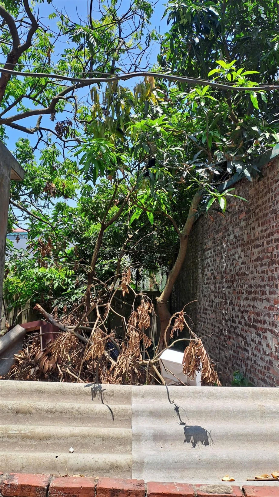 Bán đất Đại Áng 30m², ô tô vào đất giá chỉ 3,5 tỷ có thương lượng