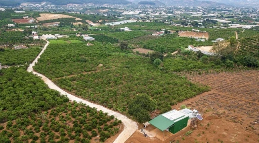 Thị trường cuối năm 2023 BĐS có dấu hiệu hồi sinh tích cực
