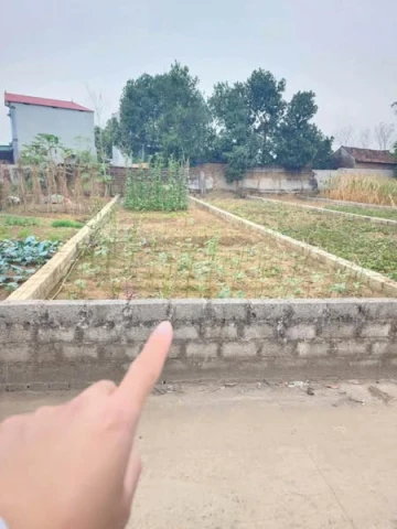99m đường thông Cánh Chủ