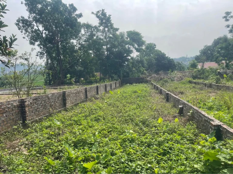 BÁN ĐẤT NAM PHƯƠNG TIẾN - CHƯƠNG MỸ, HÀ NỘI