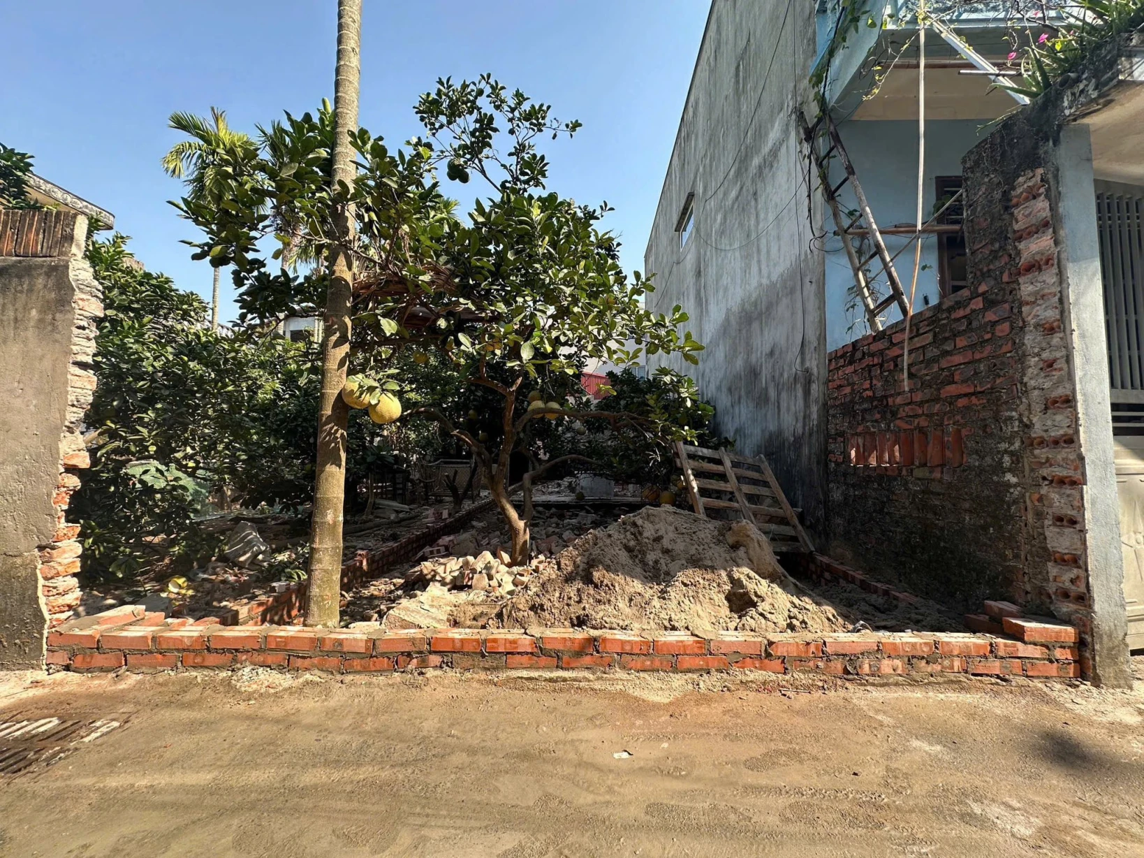 🏠 Chính chủ gửi bán lô đất tại đường Phùng Hưng, Thị trấn Phùng, huyện Đan Phượng, TP. Hà Nội