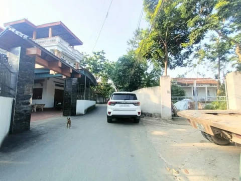 🛑Hoàng Đan Tam Dương Vĩnh Phúc ( cũ )