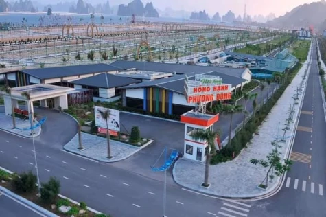 0947675787 để dc tư vấn cụ thể nhất ạ
