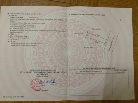 Chính chủ gửi bán lô ở đất quảng thanh, diện tích 80m , mặt đường trải nhựa rộng 8m, xung quanh toàn biệt thự nhà giàu