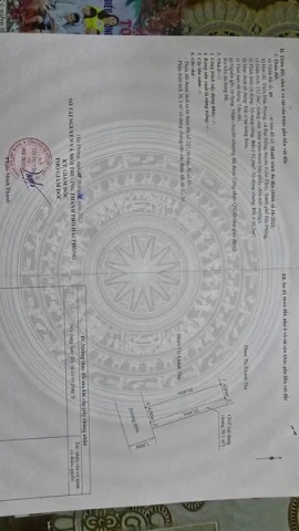 Siêu phẩm trục thôn Đức Phong , Đại Đồng , Kiến Thuỵ tuyến hai TL361