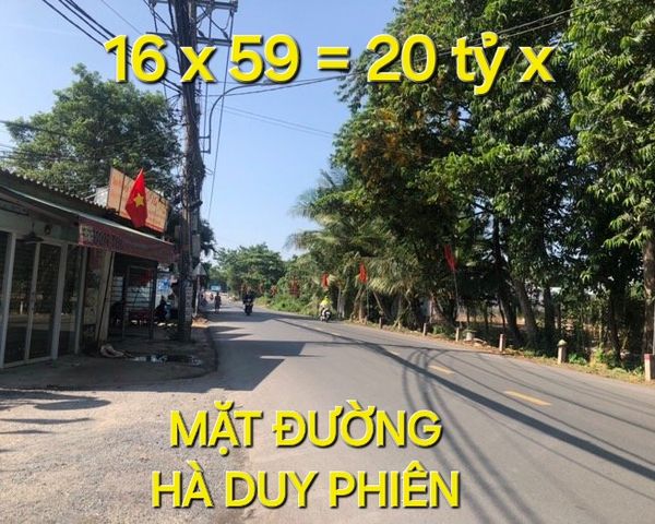 1331m2 có 20x tỷ x Mặt tiền Hà Duy Phiên Bình Mỹ Củ Chi TP.HCM