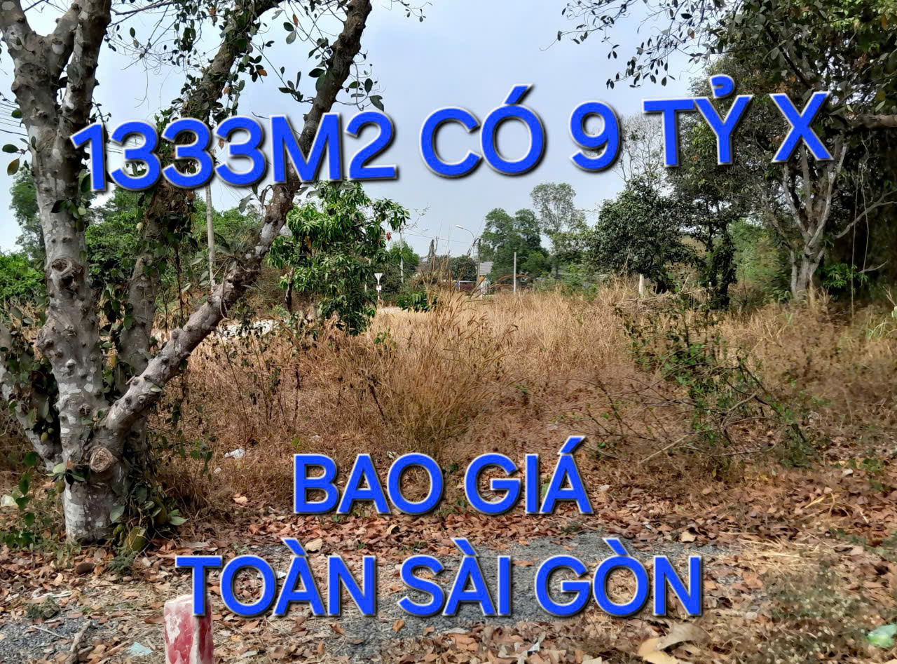 Bao Giá Toàn Sài Gòn 1333m2 Đất 9 tỷ x Nguyễn Thị Nói Củ Chi TPHCM