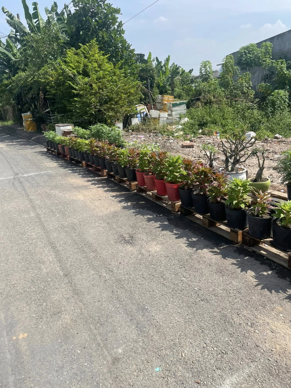 Bán đất mặt tiền đường nhựa 12m ngang 5x19m giá 5 tỷ Đường Đông Thanh 7-3