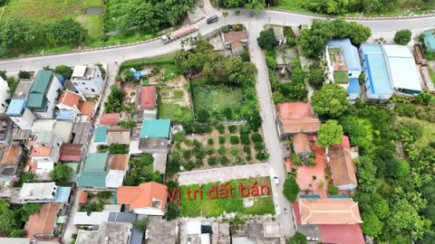 📍Dư Xá - Ứng Hoà