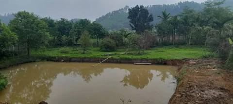 HƠN 5 TỶ XÍU CÓ HƠN 1000M2 ĐẤT CẢ TRONG SỔ VÀ NGOÀI SỔ, TRONG ĐẤT CÓ AO, PHÍA SAU VIEW CÁNH ĐỒNG TẠI YÊN BÌNH