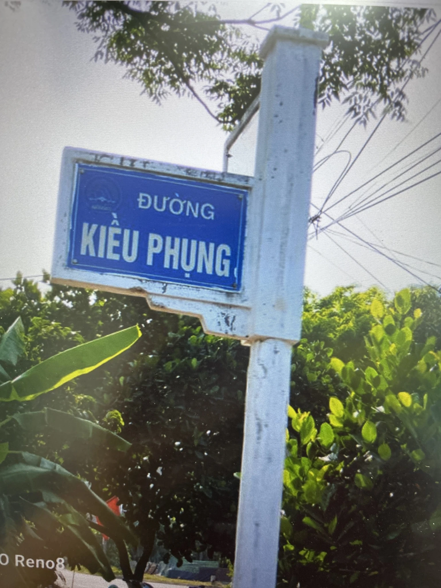 BÁN NHANH LÔ ĐẤT ĐƯỜNG KIỀU PHỤNG, GIÁ THẤP NHẤT THỊ TRƯỜNG