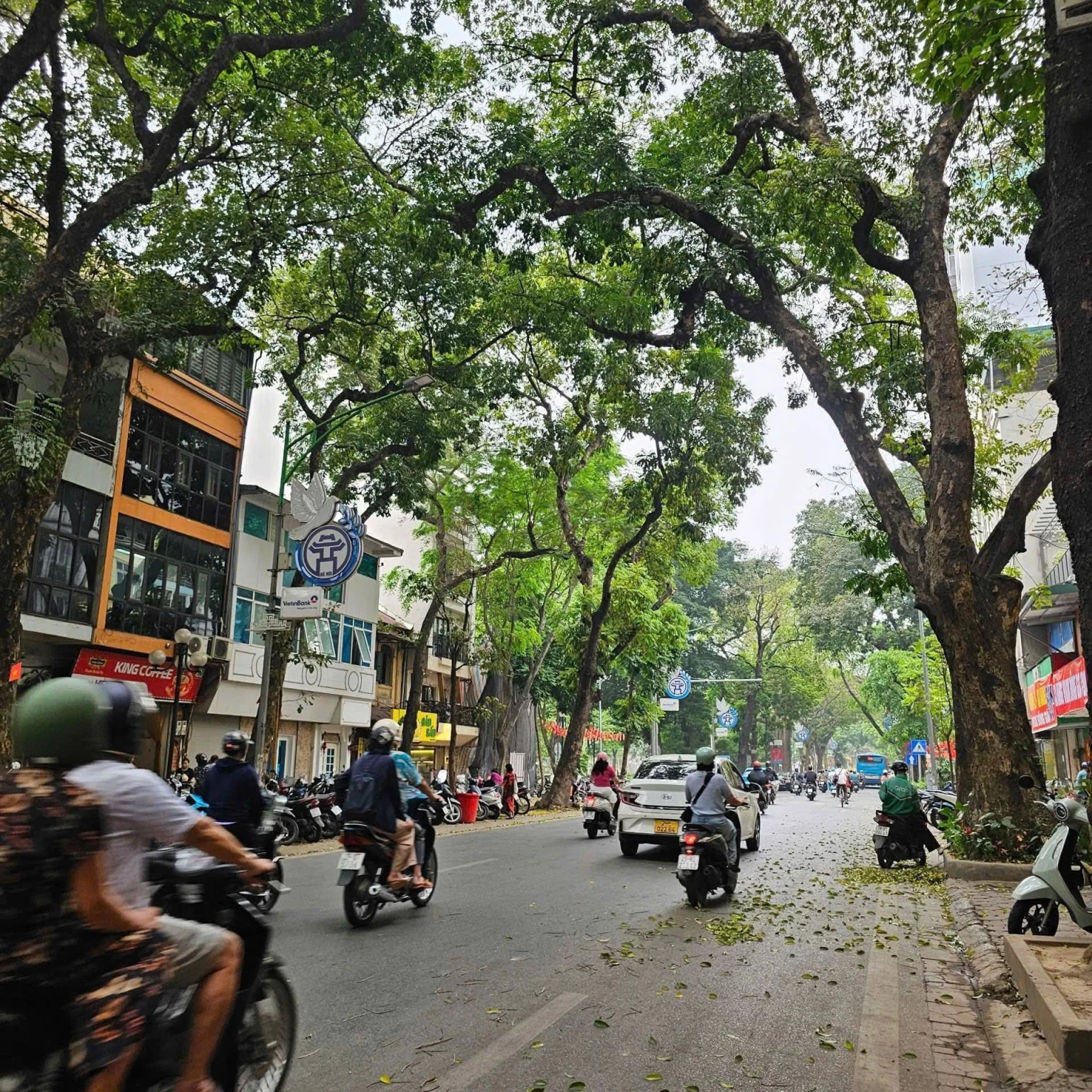 Quán Thánh – BÁN NHÀ 5 TẦNG – 50M² – 17.5 TỶ  BA ĐÌNH