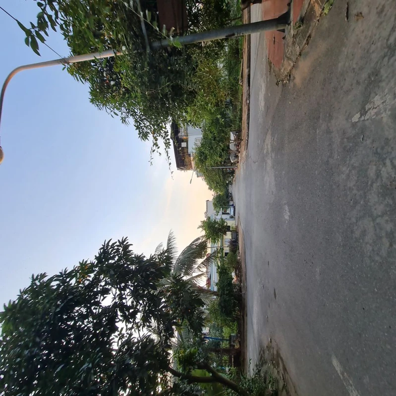 Bán gấp lô đất 61m2 ngay cạnh trục chính tđc Trâu Quỳ, Gia Lâm, Hà Nội. Lh 0989894845